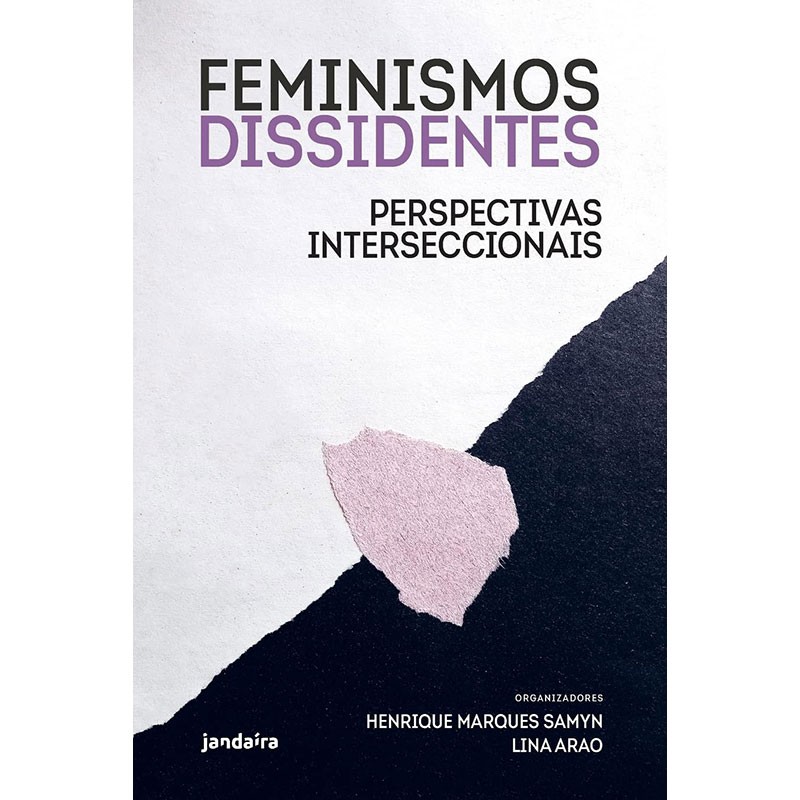 Feminismos Dissidentes: Perspectivas Interseccionais