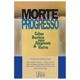 Morte e Progresso: Cultura Brasileira Como Apagamento De Rastros