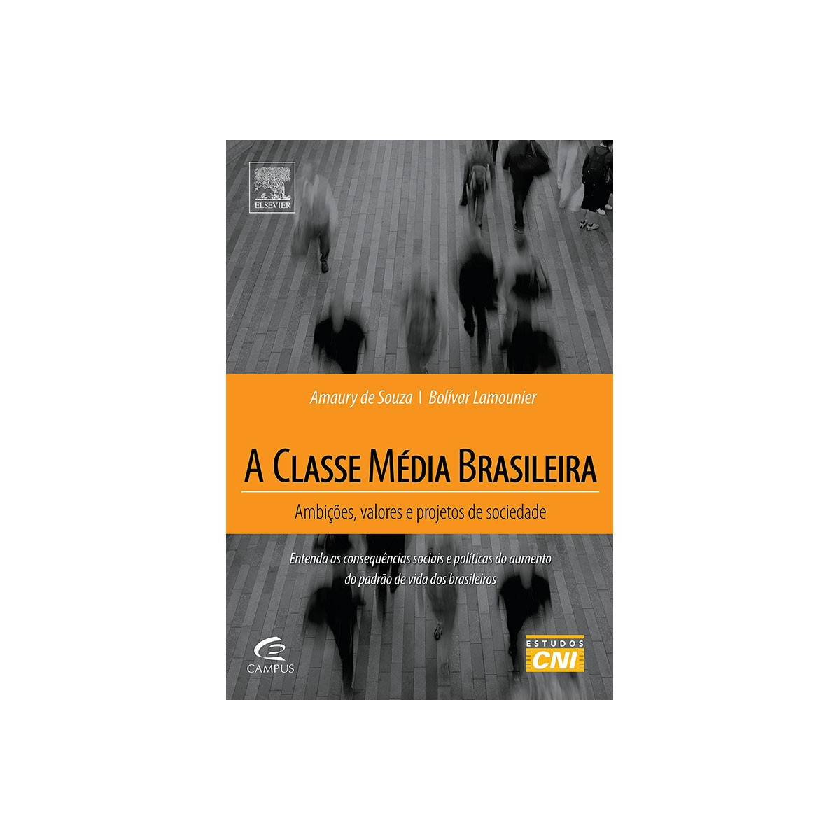 Livro > Classe Média e Lutas Sociais