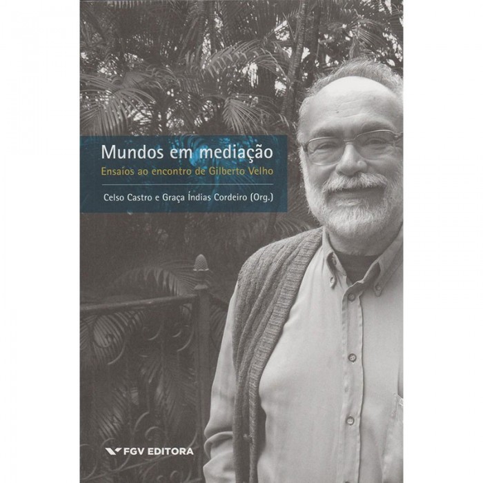 Mundos Em Mediação: Ensaios Ao Encontro De Gilberto Velho